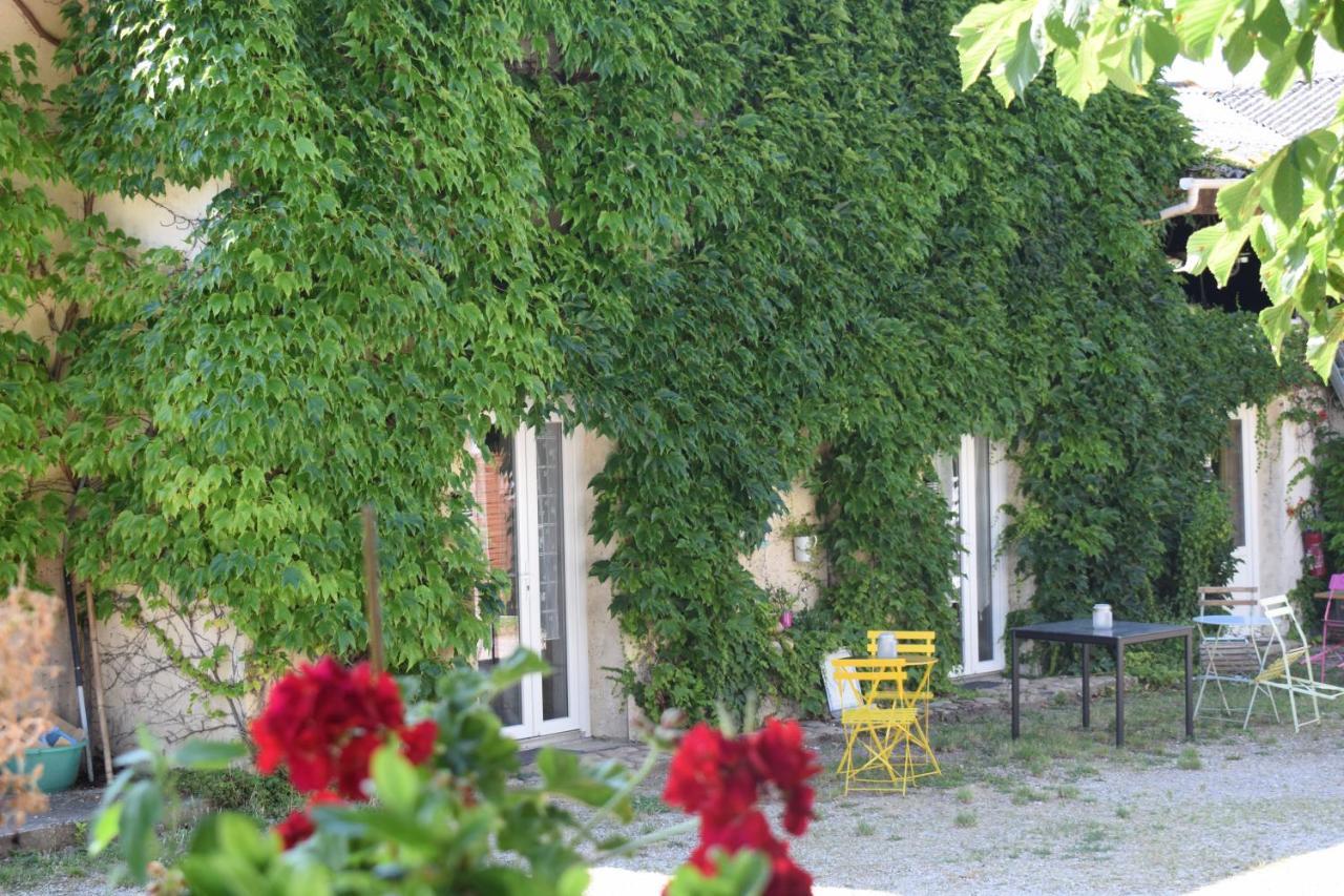 Chambres d'hôtes- Le Pré aux Ânes Albon Extérieur photo