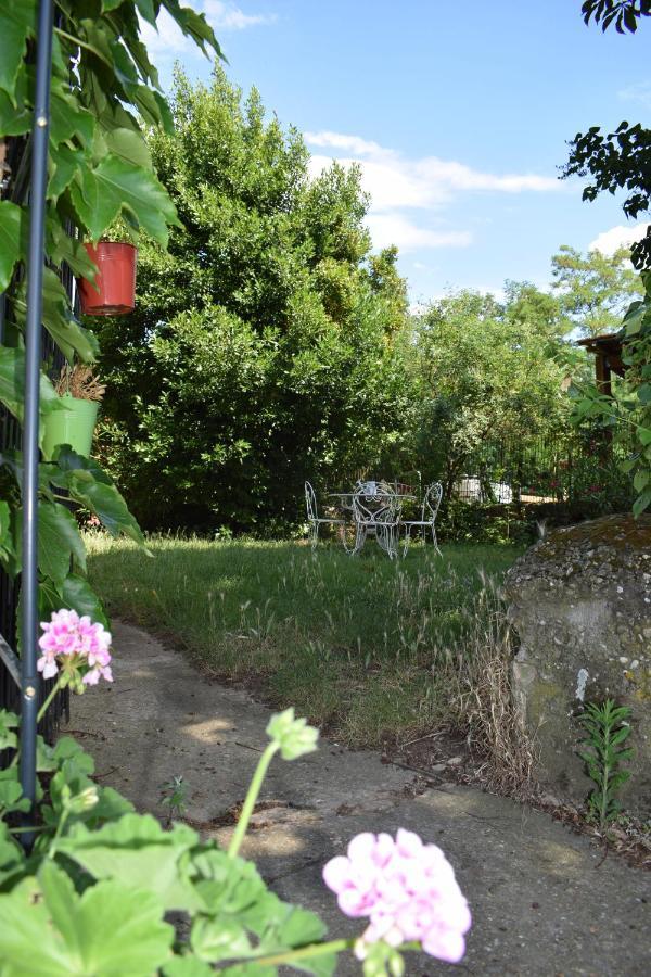 Chambres d'hôtes- Le Pré aux Ânes Albon Extérieur photo