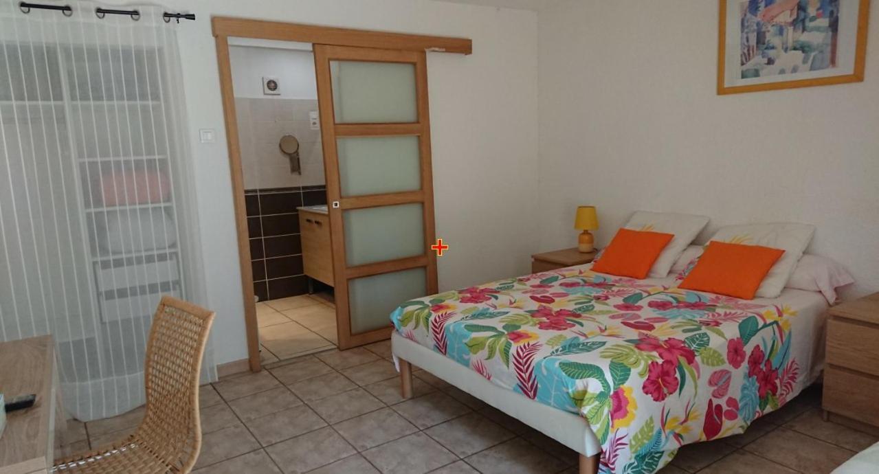 Chambres d'hôtes- Le Pré aux Ânes Albon Extérieur photo
