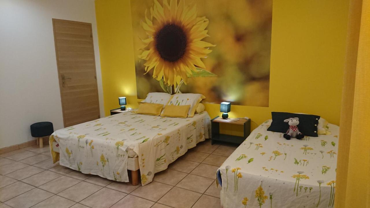Chambres d'hôtes- Le Pré aux Ânes Albon Extérieur photo