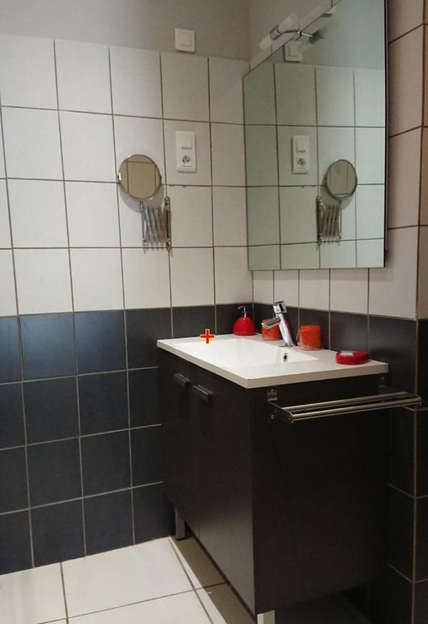 Chambres d'hôtes- Le Pré aux Ânes Albon Extérieur photo
